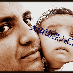 大象秘密入口 （赔笑）