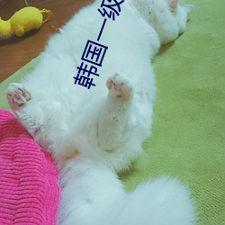 韓國一級黃