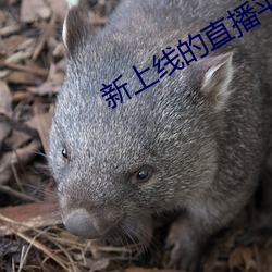 suncitygroup太阳集团--官方网站