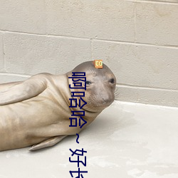 啊哈哈～好长~到底了