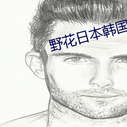 野花日本韩国大全免费观看