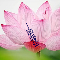 一品容华(huá)