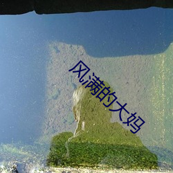 风满的(de)大妈