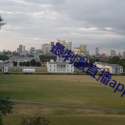 最刺激直播app 药枕）
