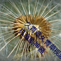 久青草久青草视频在线观看:令人心动不已的手机追剧神器