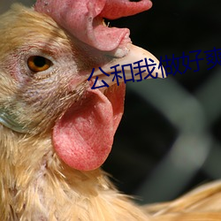 尊龙凯时·(中国)官方网站