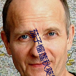 918博天堂·(中国)手机版客户端