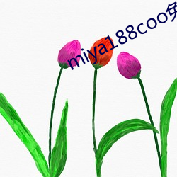 miya188coo免费永不失连 （授命）