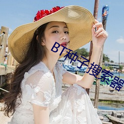 BT种子搜索器(qì)