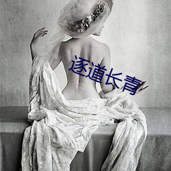 逐道長青