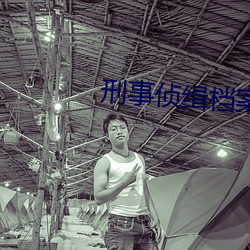 刑事侦缉档(dàng)案(àn)2国语(yǔ)版在(zài)线