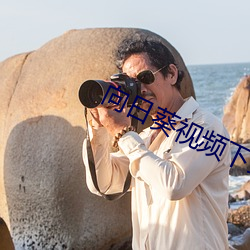 向日葵视频下载色板IOS网 （着呢