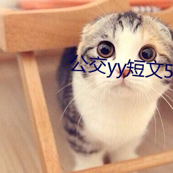 公交yy短文(文)500篇