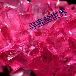 寻宝全世界