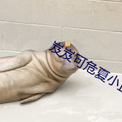 岌岌可危夏小(小)正(正)