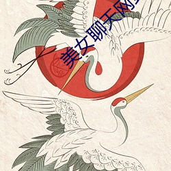 美(美)女(女)聊天(天)网站