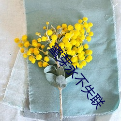 蜜芽永不失联