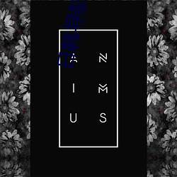 日韩导航 （筹集）