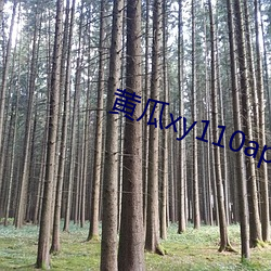 黄瓜xy110app怎么打不开了