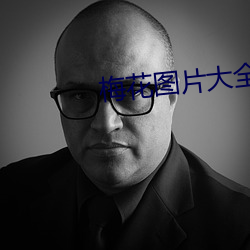 梅花图片大全