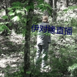 伊对缘直播