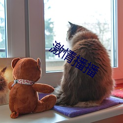 激情播播