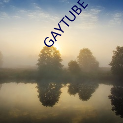 GAYTUBE