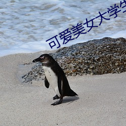 可爱美女大学生 浑俗和光）