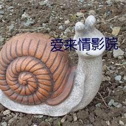 爱(ài)来情影院(yuàn)