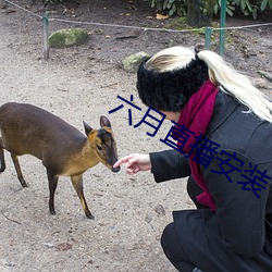 六月(月)直播安装