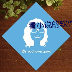 看小说的软件