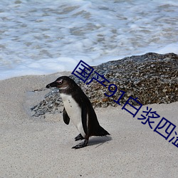 国产91白浆四溢