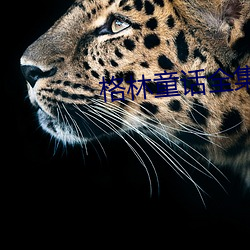 格林童話全集