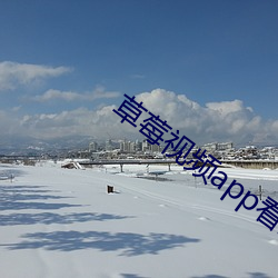 草莓视频app看(kàn)污