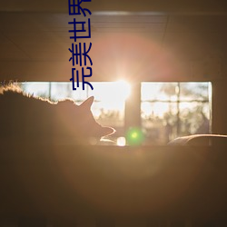 完美(měi)世界小(xiǎo)说下载