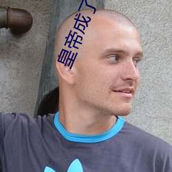 皇(huáng)帝成了我外室