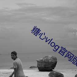 糖心vlog官网(網)版下载