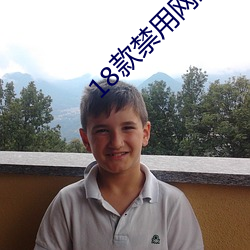 18款禁用網站二次元