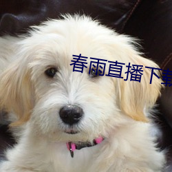 春雨直(zhí)播下载