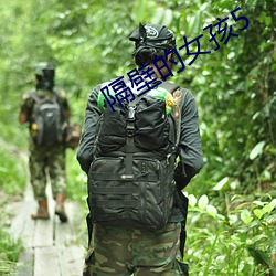 金年会(中国)官方网站