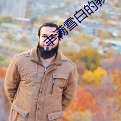 金年会(中国)官方网站