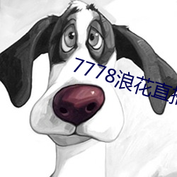 7778浪花直播