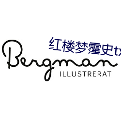 红楼梦霪史txt （明正典刑）