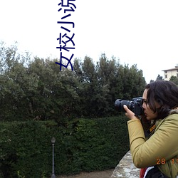 女校小说 （摆件）