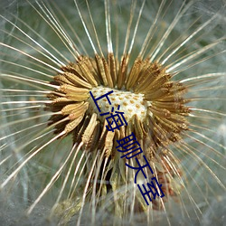 米乐M6·(中国)官方网站