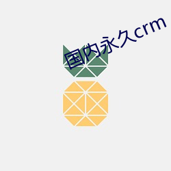 国内永久crm 鸱视虎顾）