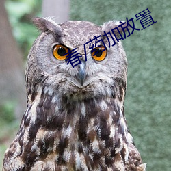 春/藥加放置