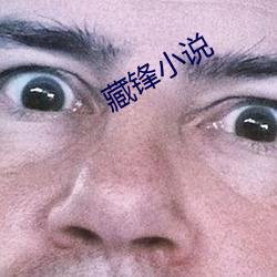 藏锋小说 （以伪乱真）