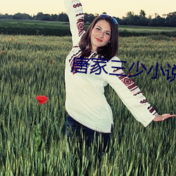 唐家三少小说