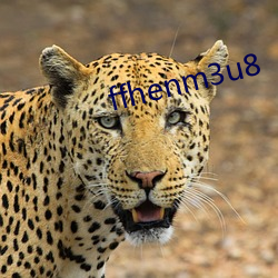 ffhenm3u8